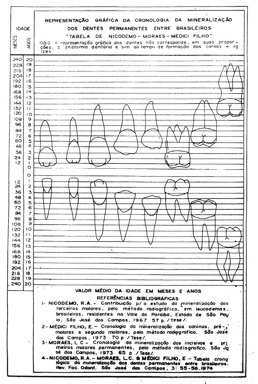 FIGURA 7 Cronologia de mineralização de dentes permanentes
