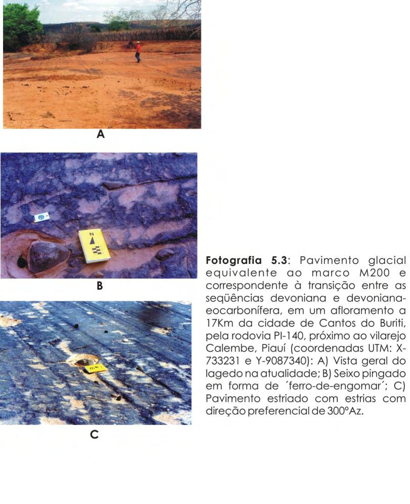 Seqüências Devoniana e Eocarbonífera da Bacia do Parnaíba, Brasil, como análogos... 179 O intervalo entre os marcos M250 e M200 (Figura 5.