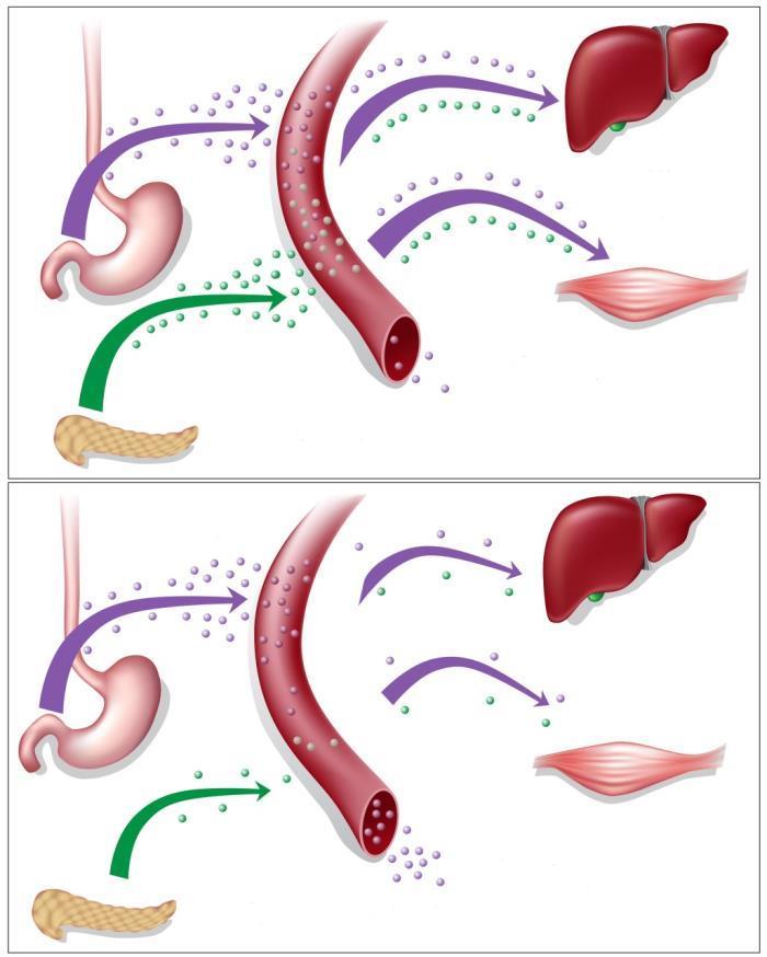 Saúde do sistema hormonal Glicose