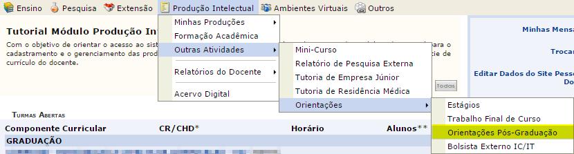 7- Orientações de pós-graduação: Para verificar as orientações