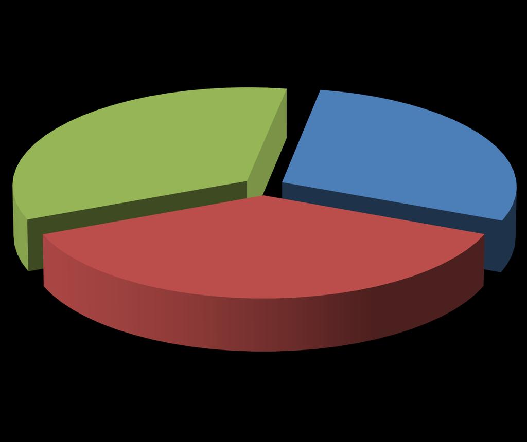 Alunado 2016 - Prudentópolis 34,13% 28,53%