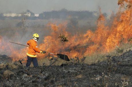 com/distrito-federal/df-tem-860-mil-m-de-vegetacao-destruidospor-queimadas-em-um-dia-29072015 Queimada Natural e não Natural Queimada natural é algo que acontece sem intervenção