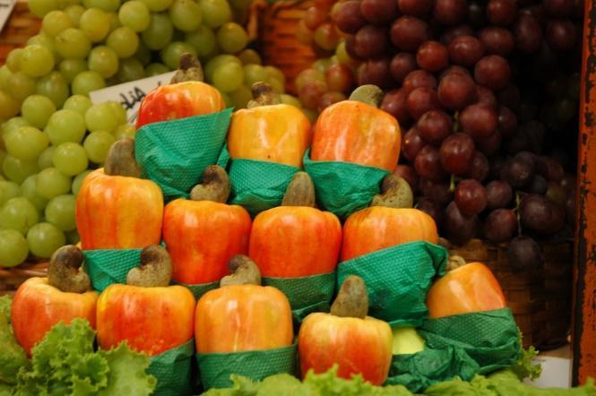 CAJÚ ASPECTOS ECOLÓGICOS tolerante ao déficit hídrico, não tolerante ao