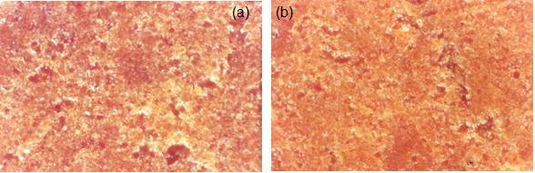 3888 Figura 7. Fração argila queimada a (a) 500 ºC e (b) 600 ºC.