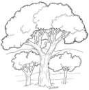 ..) : 6) Para compensar a emissão de gás carbônico na atmosfera, uma indústria arrendou um terreno para o plantio de árvores, onde foram plantadas em fileiras, de forma que a fileira posterior possui