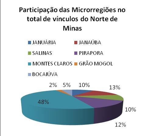 Quando avaliado a distribuição dos vínculos pelo setor de atividade econômica, em 2012, percebe-se que no Norte de Minas o setor de serviços é o que mais emprega (49% - 99.