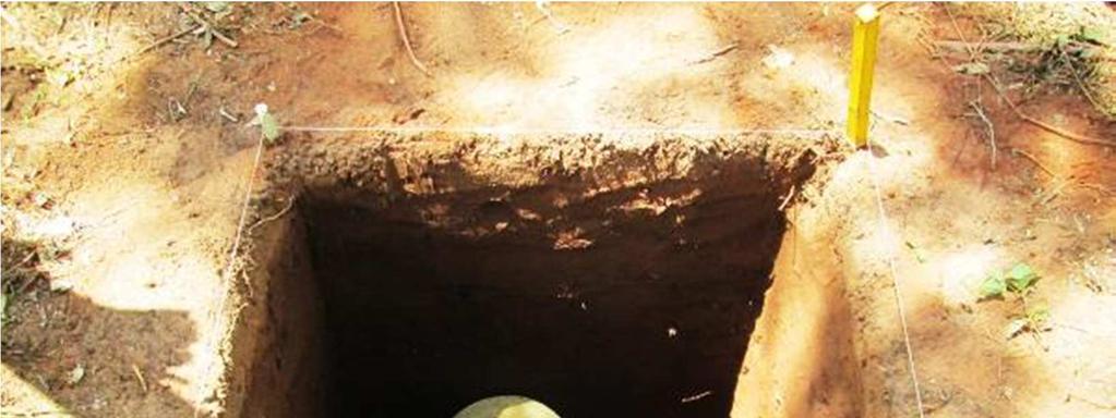 artificiais de 10 cm, atingindo uma fundura de 130 a 160 cm. As quadras escavadas apresentaram os seguintes resultados arqueológicos: NO 91.