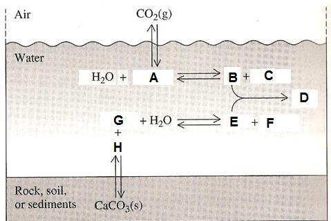 Questão 04. Considere o sistema CO 2 /carbonato em águas naturais representado abaixo.