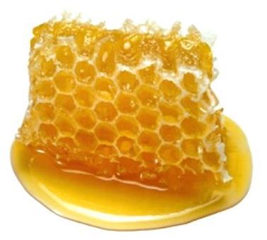 O mel de melato é formado, principalmente, a partir de secreção de partes vivas das plantas ou de excreções de insetos sugadores de plantas que se encontram sobre elas.