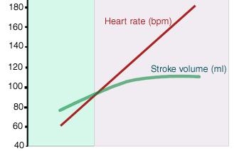 Débito Cardíaco (L/min) 0 2 4 6 8 Fisiologia Cardíaca Pós-carga x Débito Cardíaco Pós-carga Somatório de forças que se opõem à ejeção do sangue pelo coração Representada por Estresse da parede ou