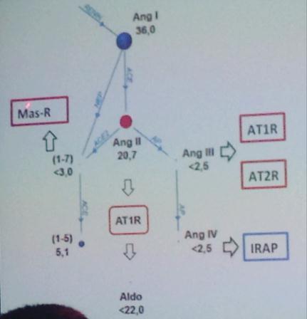 Angiotensinogênio