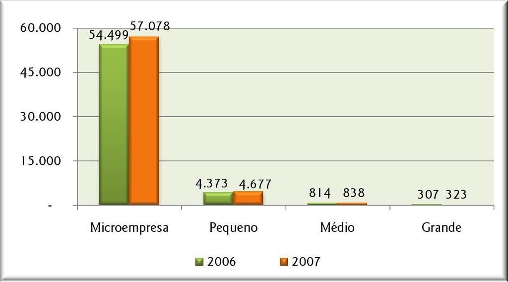 3 PERFIL DOS ESTABELECIMENTOS Segundo a RAIS, o número de estabelecimentos no estado passou de 59.993, em 2006, para 62.916, em 2007, representando um acréscimo de 2.923 empresas (4,9%).