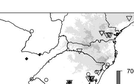 Figura 16.  espécies L. clementis, L.