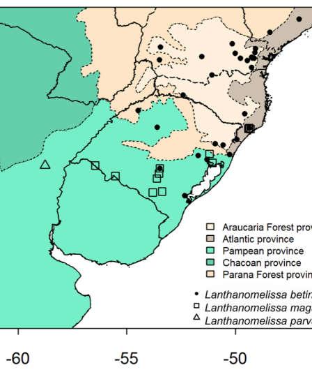 biogeográfica de Morrone (2014).