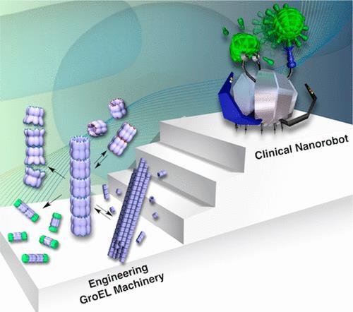 Perovskite Solar Cells