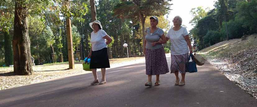 Tarefas e responsabilidades de cada grupo Andar Bem: NO FINAL DA CAMINHADA Confirme que todos os participantes se sentem bem, ouça os seus comentários, conduza o balanço, celebre a participação do