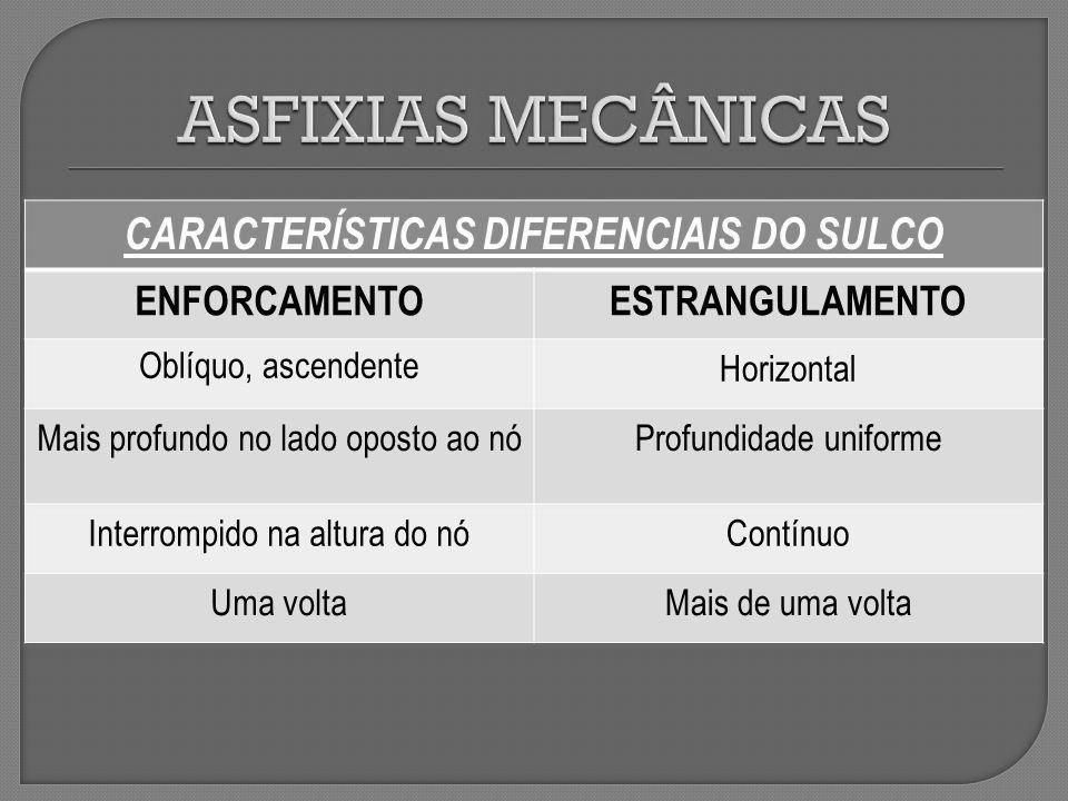 curso matéria Prof.