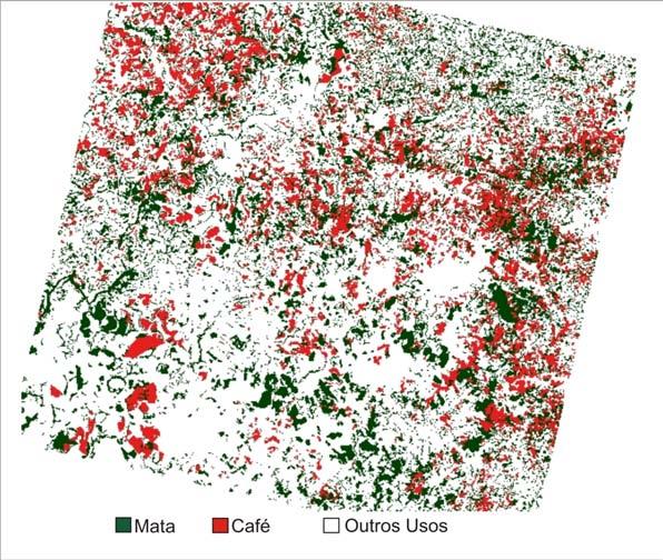 Dados obtidos no campo foram tomados como referência para a geração de matrizes de confusão e obtenção de índices de exatidão do mapeamento.