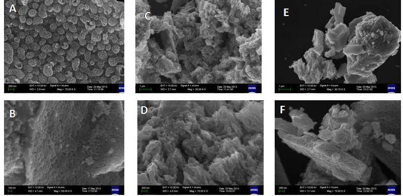 MEV A caracterização morfológica dos compostos, a nível microscópico, foi feita a partir de microscopia eletrônica de varredura (MEV) usando o método Zeiss DSM940A.