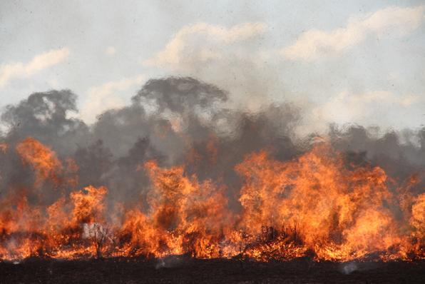 Infoqueima Boletim Mensal de Monitoramento de Queimadas Volume 03 Nº 08 - Este boletim contém o resumo mensal dos principais dados e eventos do Programa de Monitoramento de Queimadas e Incêndios