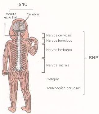 Psicofarmacologia