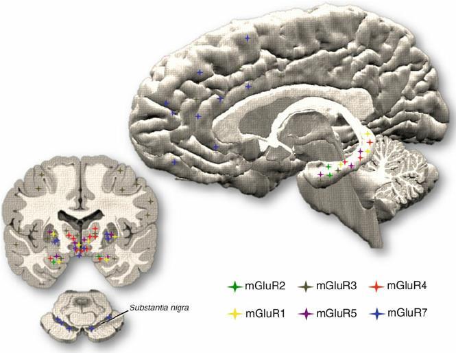 Psicofarmacologia & Sistema Nervoso