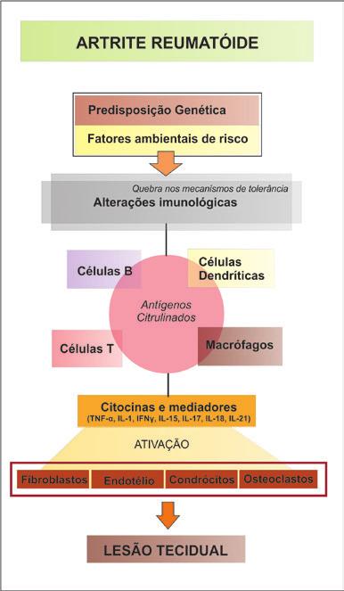 preditores para o desenvolviemnto da doença (Scott et al., 2011), sendo os mesmos normalmente relacionados à resposta imunológica (Goronzy; Weyand, 2009).