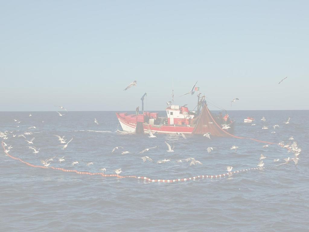 O Território Marítimo Português: Direito do Mar e Gestão Sustentável Lisboa, 30 de Julho de 2015 Política Comum de Pescas / FEAMP Algumas sugestões Apoio real a programas de investigação por