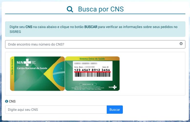 2.2 Busca por CNS (Parte 2) Já na página de consulta,