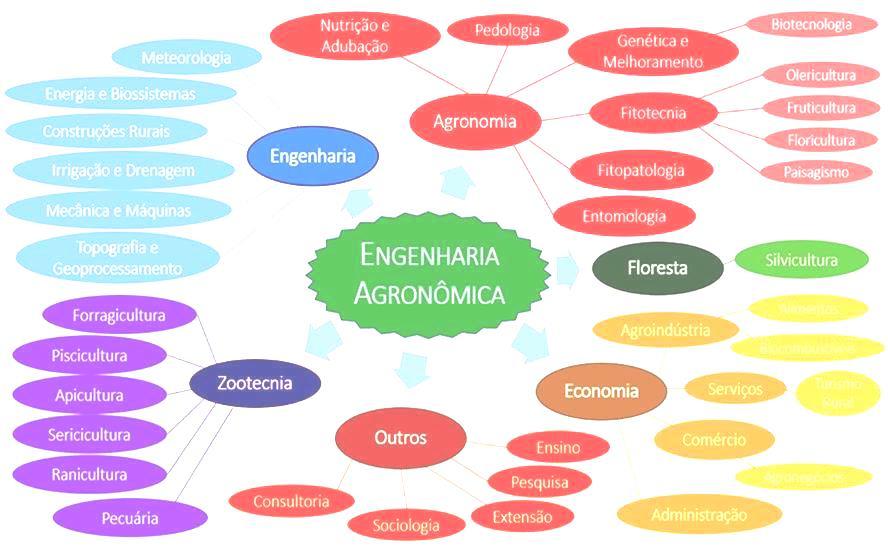 Áreas de atuação do Engenheiro Agrônomo Produção Vegetal Biotecnologia Engenharia de