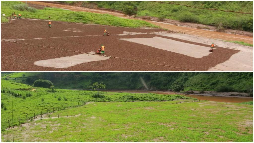 - Esta etapa do trabalho promove a melhoria das condições do solo e possibilita ações futuras de recuperação do solo, minimização de dispersão de poeira e auxilia na contenção de sedimentos para os