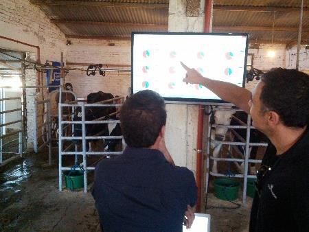 Redução do descarte involuntário: Hoje correspondem a 30/35% ao ano do rebanho total de bovinos de leite no Brasil.