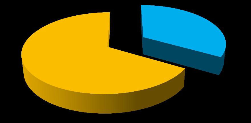 INTERNAMENTO: CARACTERIZAÇÃO DOS RESPONDENTES GÉNERO 67%