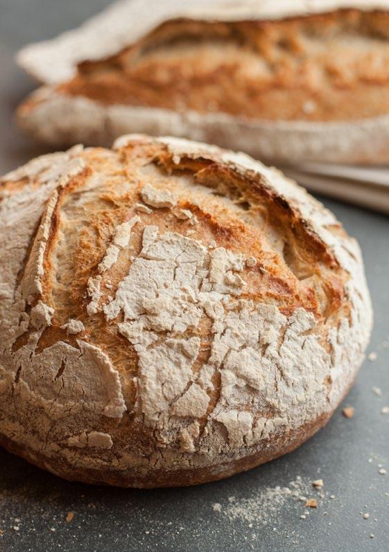 Pão Rústico Integral Farinha de trigo especial (força média) 75 3.750 g Farinha integral fina 25 1.250 g Total (base de cálculo) 100 5.