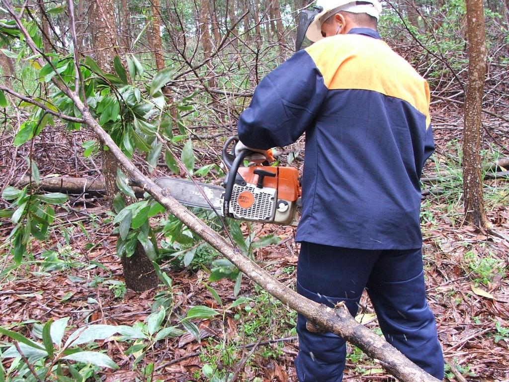 ISSN 0-X Tabelas de Volume para Plantios de Acacia mangium em Roraima Circular Técnica 0 Boa Vista, RR Dezembro, 00 Autores HELIO TONINI Engenheiro Florestal, Dr.