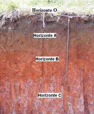 este vai se diferenciando em camadas paralelas, são os horizontes; O conjunto de