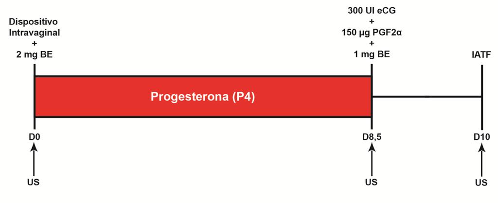 DI: Progesterona como Dispositivo Intravaginal. US: Exame ultrassonográfico para avaliação reprodutiva. DC: Avaliação das características de desenvolvimento corporal. FONTE: (LEMES, 2017).
