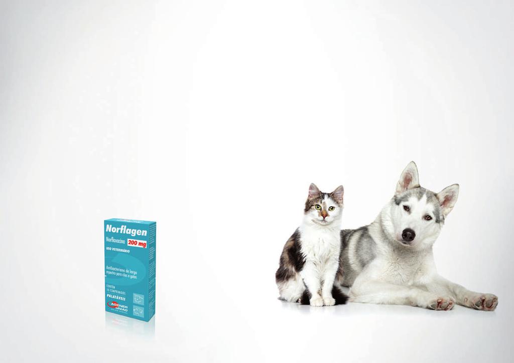 Norflagen Norfloxacina POSOLOGIA Cães e gatos: 200 mg: 1 cp. / 20 kg / VO / a cada 12 horas Recomenda-se manutenção do tratamento por pelo menos 48 horas após o desaparecimento dos sintomas.
