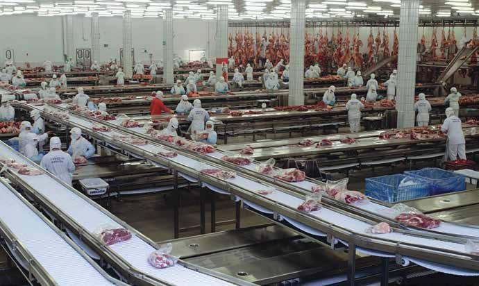 86 巴西 BRASIL 11 月 NOVEMBRO 巴西的 JBS 與中國阿里巴巴子公司簽訂肉類銷售合同 BRASILEIRA JBS CONTRATA VENDA DE CARNES COM SUBSIDIÁRIA DO GRUPO CHINÊS ALIBABA JBS 集團在一份市場聲明中表示, 該集團已和阿里巴巴子公司 Win Chain 簽署協議, 在未來三年內提供價值 15