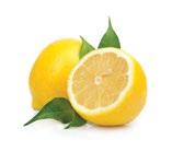 15ml Mistura de citrinos e hortelã Desfrute do aroma de Epoch Sunshine, uma mistura equilibrada de óleos essenciais de citrinos e menta.