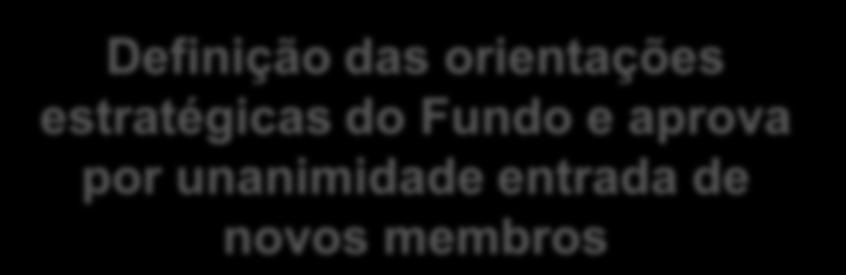 Estratégia do Fundo BIS Definição das orientações estratégicas do Fundo e