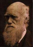 Variação Charles Darwin (1859) Evolução lenta, gradual e contínua.