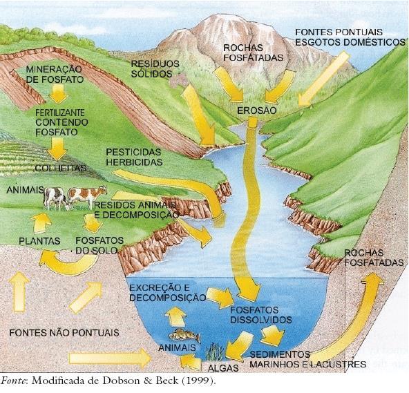 Um rio não