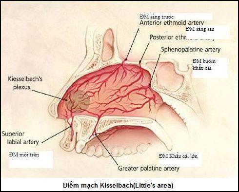 POSTERIOR (vasos mais calibrosos) Causas gerais Hipertensão arterial