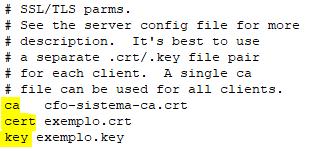 Na pasta onde foi instalado e adicionado os arquivos de configuração (C:\Program Files\OpenVPN\config), clique com o botão direito sobre o arquivo tipo OpenVPN Config File e selecione Edit with