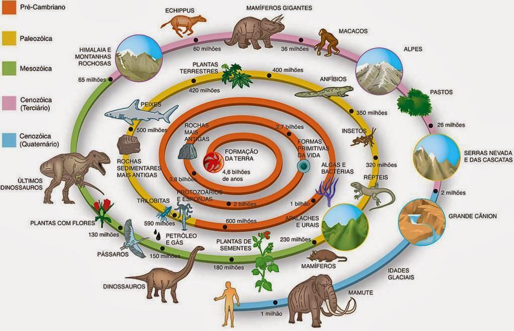 Evolução da vida ao