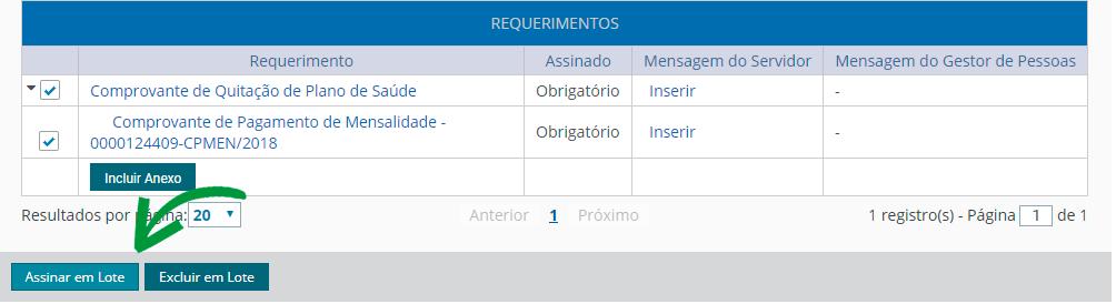 Passo 21 O(s) requerimento(s) e o(s) anexo(s) podem ser assinados individualmente antes de salvá-los, ou podem ser assinados de uma só vez, utilizando a