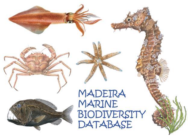 PLATAFORMAS ONLINE BioDivMarMadeira Base de dados Biodiversidade marinha Listagem de bibliografia cienufica Biologia das espécies