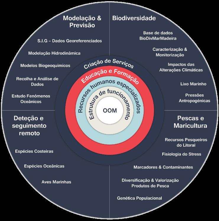 PROJETO OOM Visão estratégica do Observatório Oceânico da Madeira COMPONENTES DO PROJETO OOM Núcleo core OpAmizar a gestão do projeto GaranAr o funcionamento