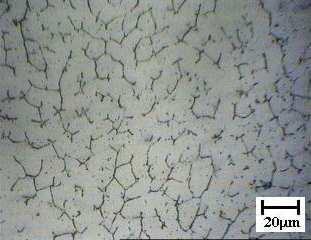 Capítulo V Caracterização Microestrutural e de Microdureza 93 γ α Figura 5.13.